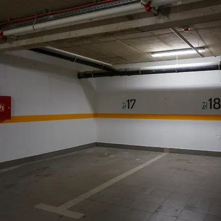 Sindy And Mendy With Parking Space In The Garage *